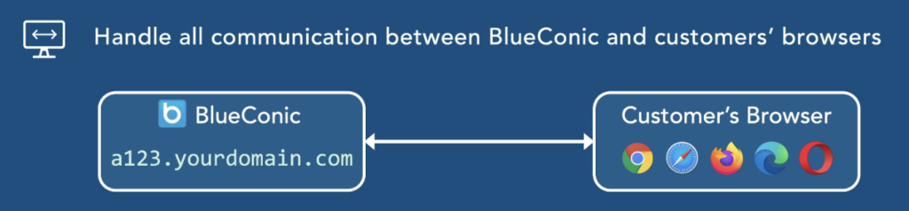 BlueConic tagged as first-party