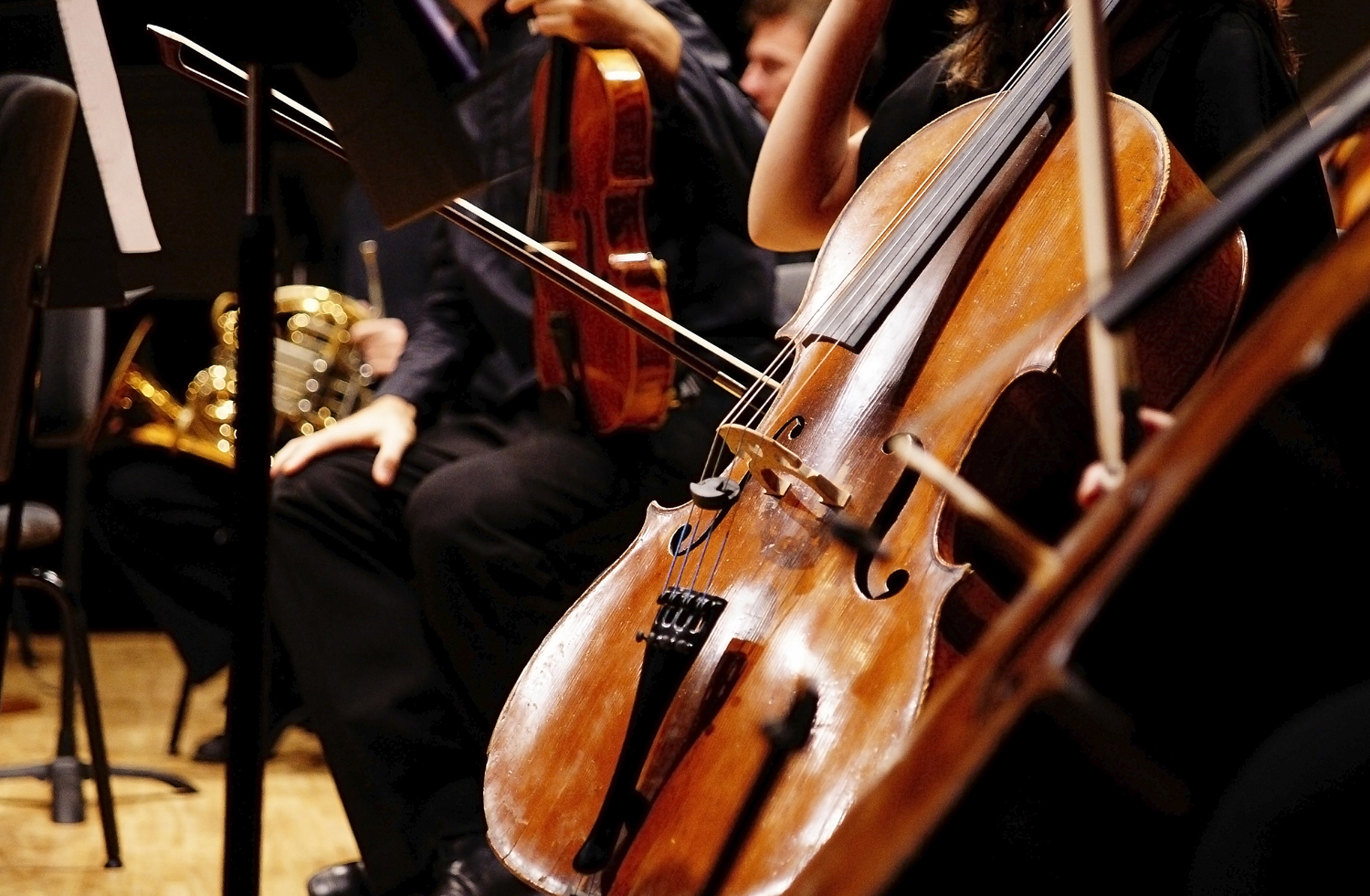 Arts and culture image
