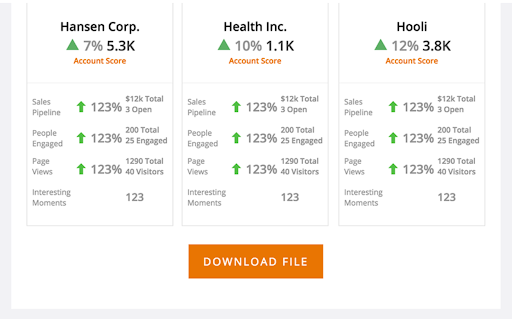 Account Reports Marketo