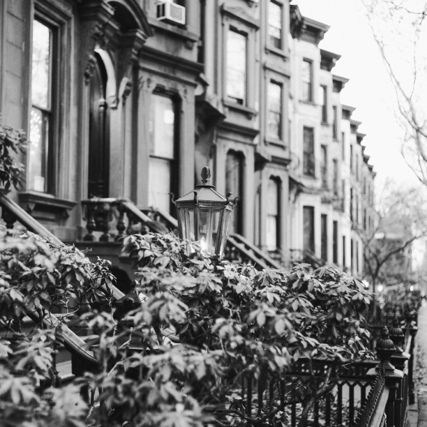 case-study-first-american marketing campaigns, csl plasma, case study