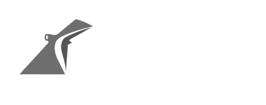 carnival-cruises-logo-white