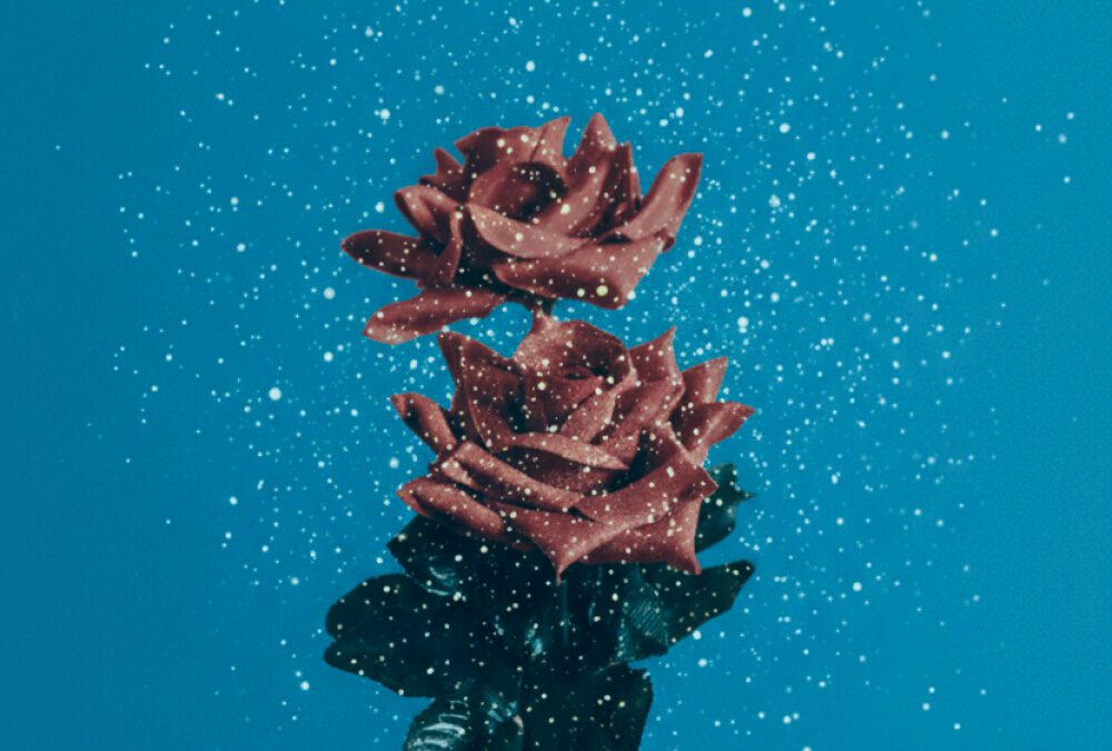 Rekindle the Spark in Your Customer Experience